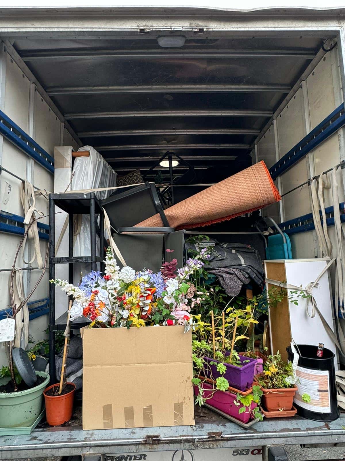 Transport de plantes TPLM